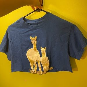 Cropped blue alpaca t-shirt
